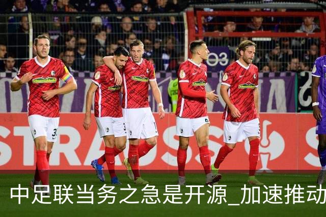 中足联当务之急是开源 加速推动中国足球职业化