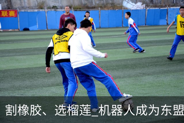 割橡胶、选榴莲 机器人成为东盟市场“新宠” 各国释放明确需求信号
